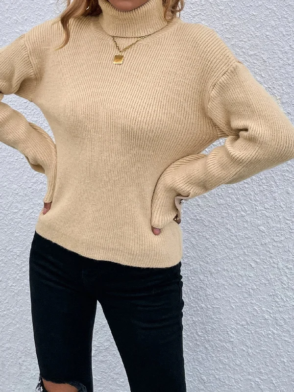 Unbeatable Prices Casual Plain Pearls Long Sleeve High Neck Regular Women Sweater