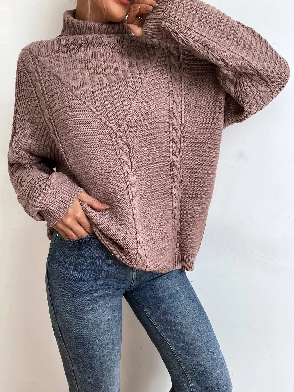 Special Buy Casual Plain Long Sleeve High Neck Regular Women Sweater