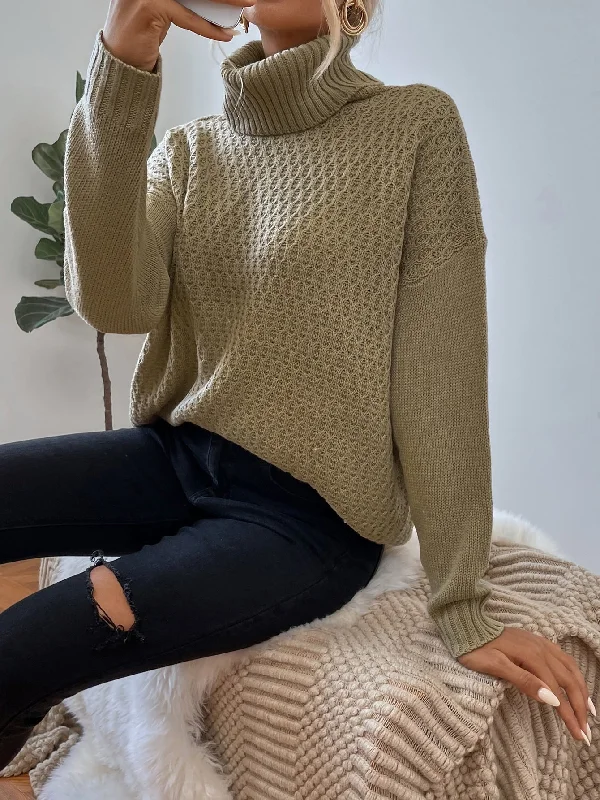 Bargain Alert Casual Plain Long Sleeve High Neck Regular Women Sweater