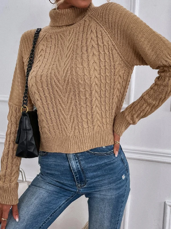 Daily Deals Casual Plain Long Sleeve High Neck Regular Women Sweater